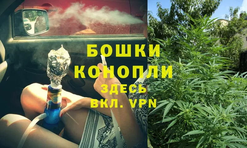 купить наркотик  Электрогорск  Бошки Шишки LSD WEED 